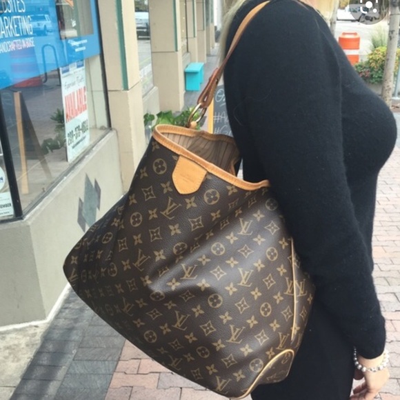 Louis Vuitton Handbags - ❤️DISCONTINUED Delightful pm LOUIS VUITTON HOBO